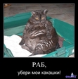 3JKQ1PuToI0uLEhYV29QFzqz36wKwYvBeE2kJ7Uw