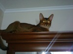 DSC00045