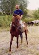 light horse