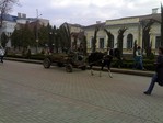 a8ade5fcaeb89323c3bcdba4ff2ff8ee