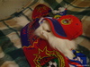 У меня дома все - Армейцы
