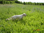 Июль 2006 044.jpg