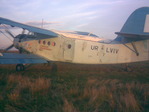 кукуруза