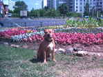 PICT0008