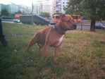 pict0034