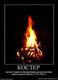 139008_koster