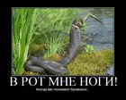 032_pics