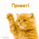 =)