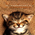 =)