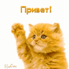 =)