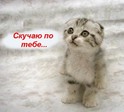 =)