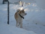 зимой