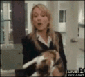 Cat_attacks_reporter