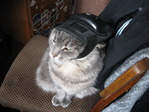Моя Котэ:)