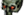 Demm6