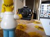 003_homer.jpg