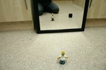 018_homer.jpg