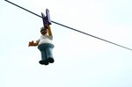 017_homer.jpg