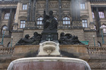 местный водопой