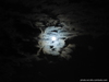 DSCN5048