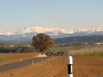 Saentis