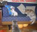 тушканчеГ