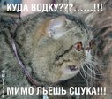 мимо.jpg