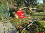 DSC00178