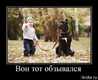 Кланновая 8 ка