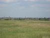 Вороны атакуют )
