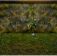 Screenshot_1