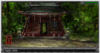 Screenshot_49