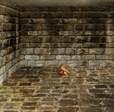 Screenshot_2