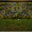 Screenshot_1
