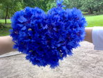 29062008262.jpg