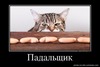 Падальщик