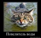 ПВ