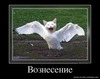 Вознесение
