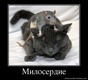 Милосердие