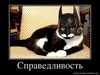 Справедливость