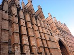 IMG_0205