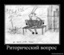Риторический вопрос