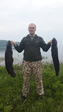 Змееголов