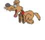dog1-15