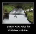 x_10b5cd0f