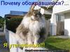 image005