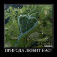 1260328492_031