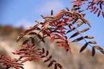 koyo10_101019_03