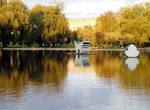 2007