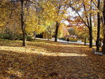 28.10.2006